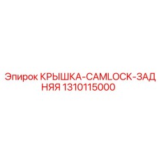 1310115000 КРЫШКА-CAMLOCK-ЗАДНЯЯ (Epiroc)