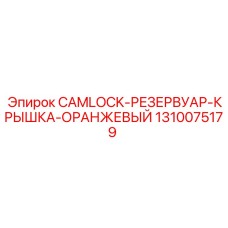 1310075179 CAMLOCK-РЕЗЕРВУАР-КРЫШКА-ОРАНЖЕВЫЙ Epiroc