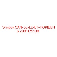 2901179100 CAN-5L-LE-LT-ПОРШЕНЬ Epiroc
