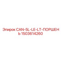 1503614260 CAN-5L-LE-LT-ПОРШЕНЬ Epiroc