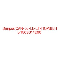 1503614260 CAN-5L-LE-LT-ПОРШЕНЬ Epiroc