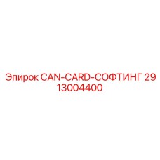 2913004400 CAN-CARD-СОФТИНГ Epiroc