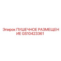 GS10423361 ПУШЕЧНОЕ РАЗМЕЩЕНИЕ by Epiroc