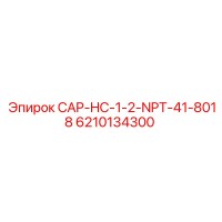 6210134300 CAP-HC-1-2-NPT-41-8018 Epiroc