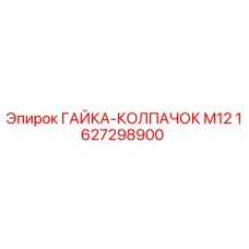 1627298900 ГАЙКА-КОЛПАЧОК M12 (Epiroc)
