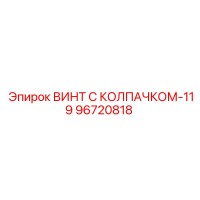 96720818 ВИНТ С КОЛПАЧКОМ-119 Epiroc