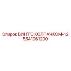 5541061200 ВИНТ С КОЛПАЧКОМ-12 Epiroc