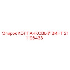 211196433 КОЛПАЧКОВЫЙ ВИНТ Эпирок