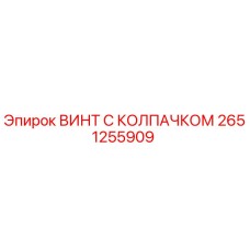 Фотография винта с колпачком 2651255909 от производителя Эпирок