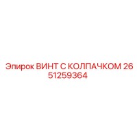 2651259364 ВИНТ С КОЛПАЧКОМ Эпирок