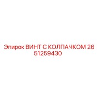 2651259430 ВИНТ С КОЛПАЧКОМ Эпирок