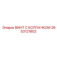 2653121802 ВИНТ С КОЛПАЧКОМ Эпирок
