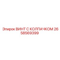 2658569399 ВИНТ С КОЛПАЧКОМ Epiroc