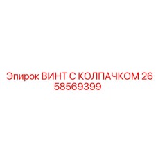 Винт для гидросистем Epiroc арт. 2658569399