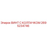 2695234746 ВИНТ С КОЛПАЧКОМ - Epiroc