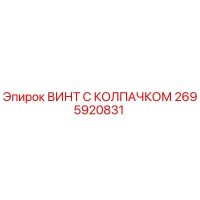 2695920831 ВИНТ С КОЛПАЧКОМ Epiroc