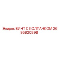 2695920898 ВИНТ С КОЛПАЧКОМ Epiroc