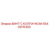 5540976300 ВИНТ С КОЛПАЧКОМ Epiroc