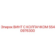 5540976300 ВИНТ С КОЛПАЧКОМ Epiroc