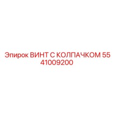 Высокоточный колпачковый винт 5541009200