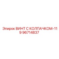 96714837 ВИНТ С КОЛПАЧКОМ-119 Epiroc