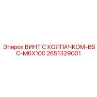 2651329001 Cap Screw BSC-M6X100 Epiroc