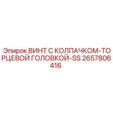 Торцевой винт SS 2657806416 для систем управления Epiroc