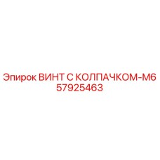 57925463 ВИНТ С КОЛПАЧКОМ-M6 Epiroc
