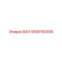 9106192455 ВАЛ Epiroc