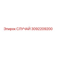 3092209200 СЛУЧАЙ Epiroc