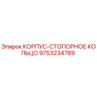 9753234789 КОРПУС-СТОПОРНОЕ КОЛЬЦО Epiroc