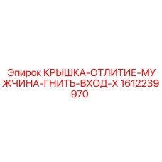 1612239970 КРЫШКА-ОТЛИТИЕ-МУЖЧИНА-ГНИТЬ-ВХОД-X Epiroc