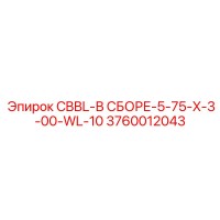 3760012043 CBBL-В СБОРЕ-5-75-X-3-00-WL-10 Epiroc