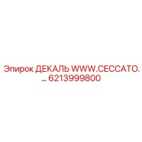 6213999800 ДЕКАЛЬ WWW.CECCATO… Epiroc