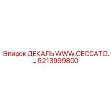 6213999800 ДЕКАЛЬ WWW.CECCATO… Epiroc