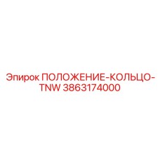 3863174000 ПОЛОЖЕНИЕ-КОЛЬЦО-TNW Epiroc
