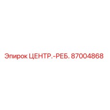 87004868 ЦЕНТР.-РЕБ. Epiroc