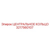 3217560107 ЦЕНТРАЛЬНОЕ КОЛЬЦО Epiroc