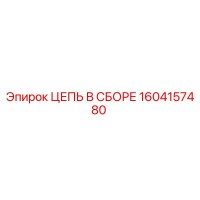 1604157480 ЦЕПЬ В СБОРЕ Epiroc