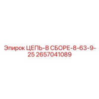 2657041089 ЦЕПЬ-В СБОРЕ-8-63-9-25 | Epiroc