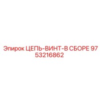 9753216862 ЦЕПЬ-ВИНТ-В СБОРЕ Epiroc