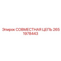 2651978443 СОВМЕСТНАЯ ЦЕПЬ Эпирок