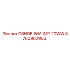 3760902906 Башмак цепи CSHOE-BW-IMP-10WW Epiroc