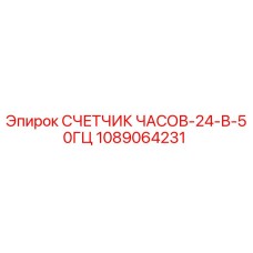 1089064231 СЧЕТЧИК ЧАСОВ-24-В-50ГЦ Epiroc