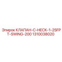 1310038020 КЛАПАН C-HECK 1-25FPT-SWING-200 Epiroc