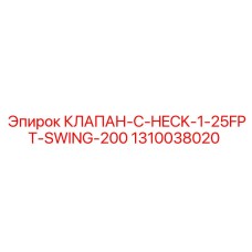 1310038020 КЛАПАН C-HECK 1-25FPT-SWING-200 Epiroc
