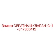 17300412 ОБРАТНЫЙ КЛАПАН-G-1-8 Epiroc