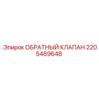 2205489648 ОБРАТНЫЙ КЛАПАН Epiroc