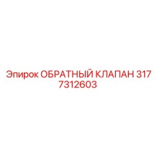 3177312603 ОБРАТНЫЙ КЛАПАН Epiroc