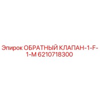 6210718300 ОБРАТНЫЙ КЛАПАН-1-F-1-M Epiroc